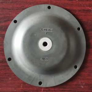 Màng bơm 6-100-15-2 chất liệu FKM dòng bơm màng 1"