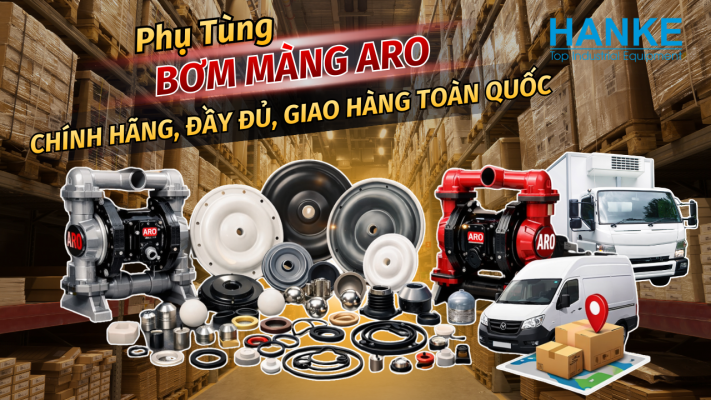 Phụ tùng bơm màng ARO - Hanke